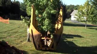 Tree Transplanting