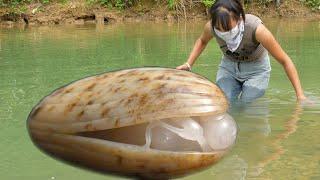  Girl's Astounding Discovery of a Treasure Trove of Pearls and Gemstones in a Mutant Clam