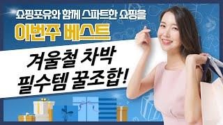 겨울철 필수템! 차량용 히터  무선 청소기  냉장고 리뷰