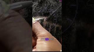 Watch Me Work • 4 Point Rotation Interlocking Demo #locs #microlocks #sisterlocks #interlocking