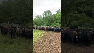 Eldon Farms Lots 1&2