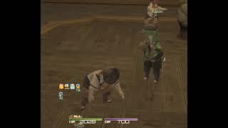 Popori the pugilist is a teacher now