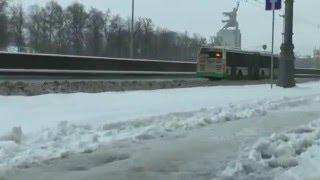 Алексеевский район СВАО: неубранный тротуар