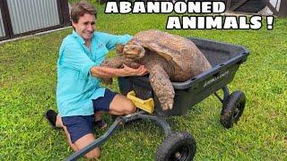 SAVING THE ANIMALS At THE ABANDONED ZOO !