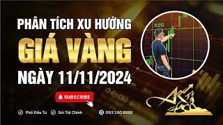 Phân tích xu hướng giá vàng ngày 11/11/2024 #xuhuonggiavang #giavanghomnay #dubaogiavang