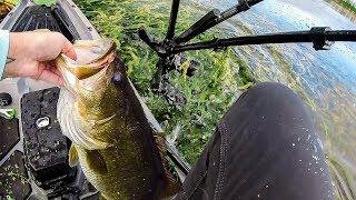 GIANT Largemouth Bass Cost Me $$ Thousands of Dollars!