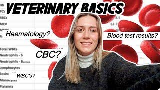 VETERINARY BASICS: How to read a blood test! CBC & Haematology