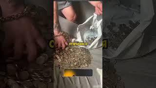 Этот папа целый год собирал монеты чтобы купить подарок дочери! #shorts #short