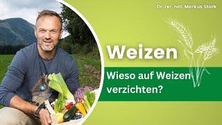 Lieber auf Weizen verzichten? Dr. rer. nat. Markus Stark erklärt