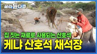 섬에서 캐낸 산호석! 케냐 만다섬 채석장 | 산호석으로 지은 멋진 집 | 당나귀타고 미로 골목 여행 | 세계테마기행 | #골라듄다큐