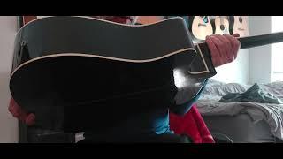 Hohner Acoustic Electric cutaway Demo