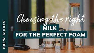 CHOOSING THE RIGHT MILK FOR THE PERFECT FOAM