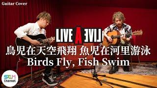 [LIVE A LIVE] Guitar Cover: Birds Fly, Fish Swim