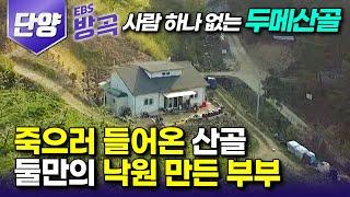 [충북 단양] "고단한 일상이 곧 행복" 마을에서 집까지 꼬박 1시간, 둘만의 무릉도원을 만든 5년 차 귀촌 부부┃평생 도시에서 자란 허당 농부 남편┃#한국기행 #방방곡곡