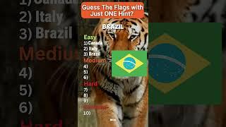  Only the Smartest Can Score 10/10 on This Flag Challenge! 