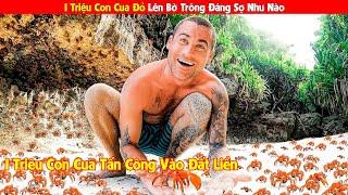 1 Triệu Con Cua Di Cư Lên Đất Liền Trông Đáng Sợ Như Nào | Review Con Người Và Cuộc Sống