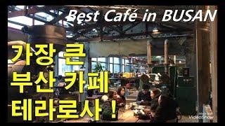 부산에서 가장 큰 카페 ! 코스트코 F1963 테라로사 ! Best Cafe in Korea Busan !