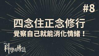 四念住正念修行，覺察自己就能消化情緒！【法源法師】| 科學看佛法：精華版 #8