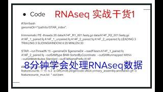 RNAseq分析干货1