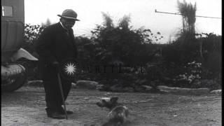 Georges Clemenceau, the Prime Minister of France takes a walk in the garden with ...HD Stock Footage