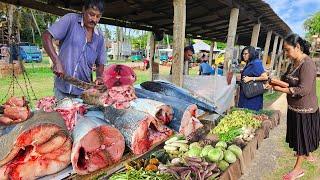 Wow!! Traditional Street Village Fish Markets Of Sri Lankan Island Village