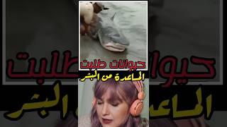 حيوانات طلبت المساعدة من البشر!!