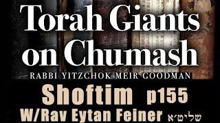 Shoftim 5784 - Eliyahu In Chumash Devorim - Steven Geller