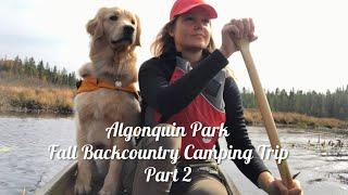 Algonquin Park Fall Backcountry Canoe Camping Private Beach with My Dog PART 2