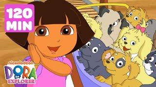 Dora & Diego's Daring Animal Rescues! #2  120 Minutes | Dora the Explorer | Dora & Friends