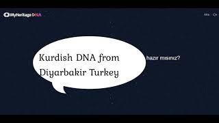 Myheritage Kurdish Mixture DNA Results from Diyarbakir  Turkey Haplogroup Surprise