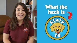 What the heck is Stain Fu? Watch this first!