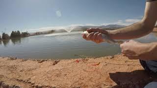 [4K] Fishing for Trout at Tawa Pond in St George Utah