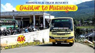 Gudalur to MASINAGUDI TNSTC Forest Bus Yathra | Mudumalai Tiger Reserve