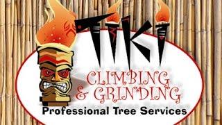 Tiki Tree Service Williamsburg (757) 941-5383 best tree removal company in Williamsburg Va.