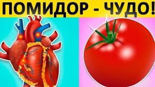 Что ТВОРИТ ПОМИДОР с ОРГАНИЗМОМ, когда ВЫ его едите?Польза и вред помидоров