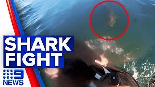 Bodyboarder confronted by shark on the Mornington Peninsula | 9 News Australia