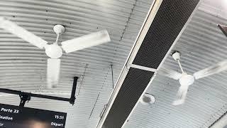 MANY Industrial Ceiling Fans at a Bus Terminal