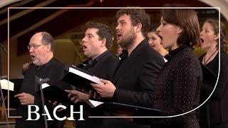 Bach - Cantata Lobe den Herrn, meine Seele BWV 69 - Dijkstra | Netherlands Bach Society