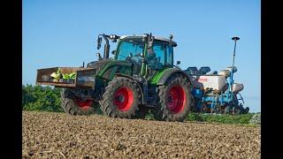 Fendt 514 et monosem 7 rangs au semis de tournesols 2023 !