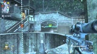 A Nice Shot | Ding | Headshot :)