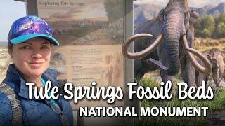 Tule Springs Fossil Beds National Monument