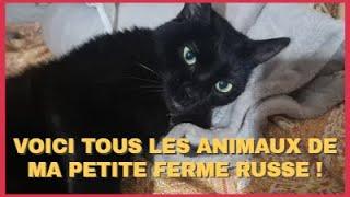 V.RUSSIE - AUJOURD'HUI JE VOUS PRESENTE LES ANIMAUX DE MA PETITE FERME RUSSE