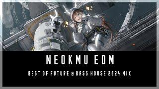 Best of Future & Bass House 2024 Mix | by [Neokmu, SIIK, Levex, VID3LA]