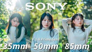 Every Beginner NEEDS the SONY F1.8 Prime Lenses｜Review with Photo & Video Samples