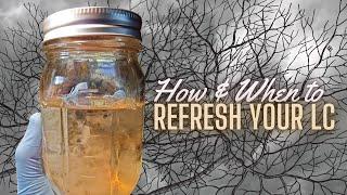 REFRESHLIQUID CULTURE, How and When