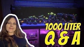 Q&A Ich beantworte eure Fragen zu meinem 1000 Liter Meerwasser Aquarium - @aquaperfekt Reeftank 