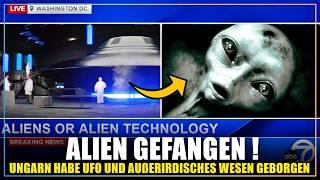 Ungarn hat einen lebenden Alien und sein UFO geborgen… Was wissen wir darüber?