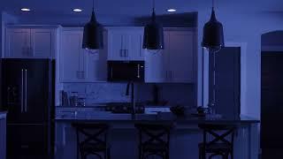 Diva Smart Dimmer from Lutron