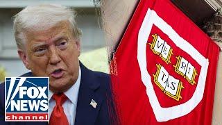 Expert suggests Trump 'making an example' of Harvard as feud intensifies