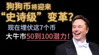 狗狗币将迎来“史诗级”变革？现在埋伏这7个币，大牛市50到100潜力！